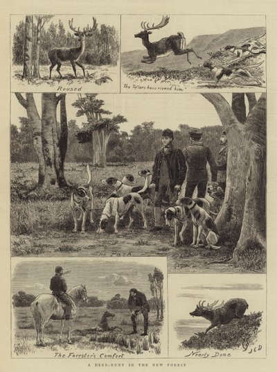 Caza de ciervos en el Nuevo Bosque de John Charles Dollman
